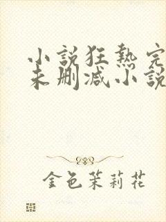 小说狂热完整版未删减小说