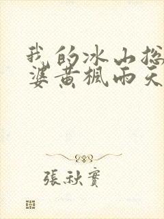 我的冰山总裁老婆黄枫雨天封面