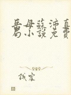 岳母苏沛真大结局小说免费阅读全文无弹窗