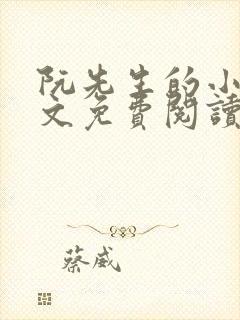 阮先生的小说全文免费阅读无弹窗封面