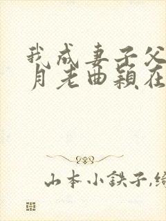 我成妻子父亲的月老曲颖在线阅读