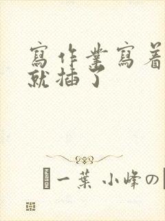 写作业写着写着就插了