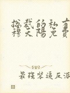 总裁的私有宝贝穆天阳免费
