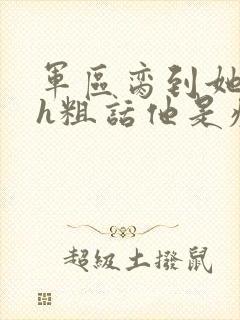 军区脔到她哭hh粗话他是疯批