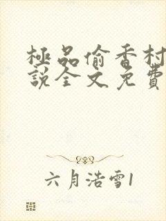极品偷香村医小说全文免费阅读封面