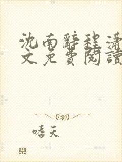 沈南辞程潇岐全文免费阅读封面