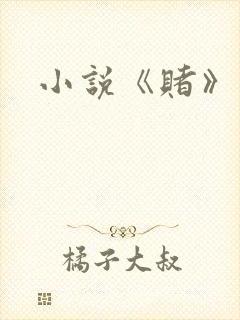 小说《赌》封面