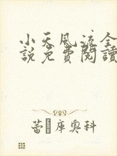 小天风流全集小说免费阅读