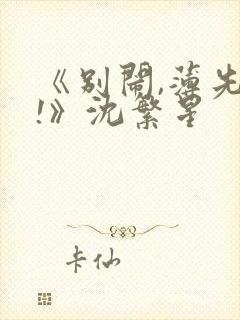 《别闹,薄先生!》沈繁星
