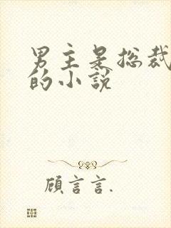 男主是总裁姓沈的小说