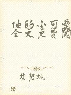 他的小可爱小说全文免费阅读