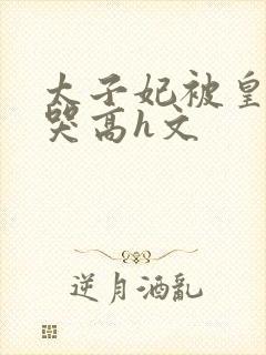 太子妃被皇上c哭高h文