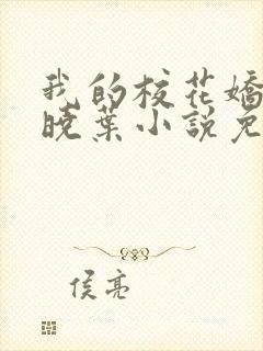 我的校花娇妻秦晓叶小说免费阅读封面