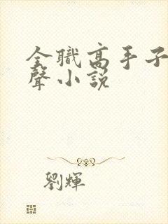 全职高手子慕有声小说