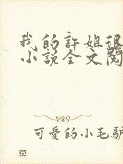 我的许姐很温柔小说全文阅读