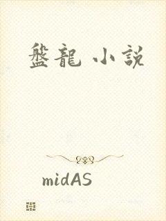 盘龙 小说封面