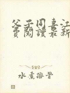 父子同妻江婉免费阅读最新章节更新