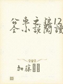 公车之狼12集全小说阅读