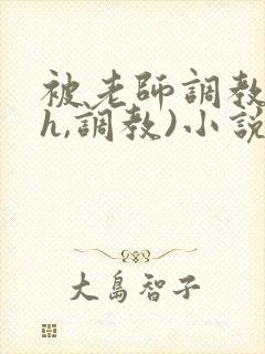 被老师调教(高h,调教)小说封面
