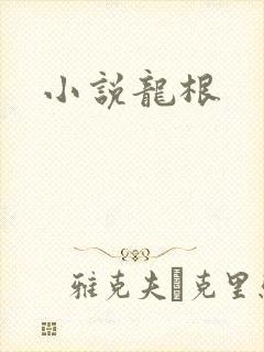 小说龙根