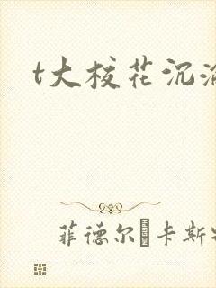 t大校花沉沦封面