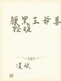 腹黑王爷喜当爹 轻暖