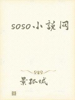 soso小说网