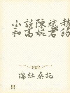 小说陈斌赵心媚和高婉君的小说免费阅读