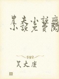 农夫小说恋老妇小说免费阅读