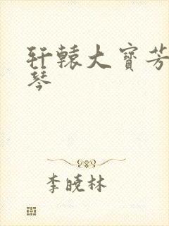 轩辕大宝芳菲雅琴