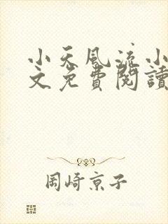 小天风流小说全文免费阅读无弹窗