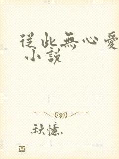 从此无心爱良夜 小说