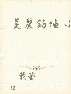 美丽的他 小说