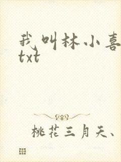 我叫林小喜小说txt