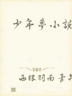 少年梦小说