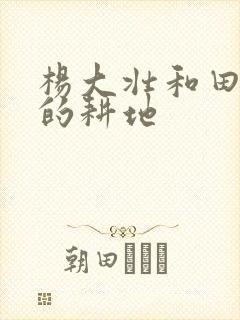 杨大壮和田桂花的耕地封面