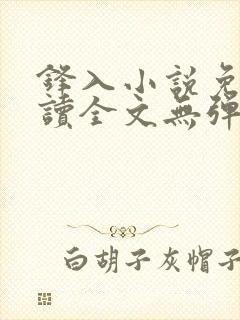 锋入小说免费阅读全文无弹窗