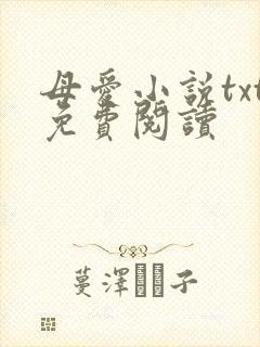 母爱小说txt免费阅读