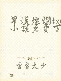 星汉灿烂txt小说免费下载
