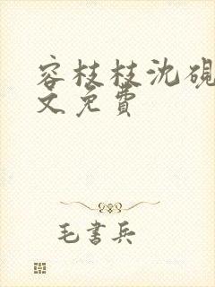 容枝枝沈砚书全文免费封面