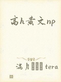 高h黄文np