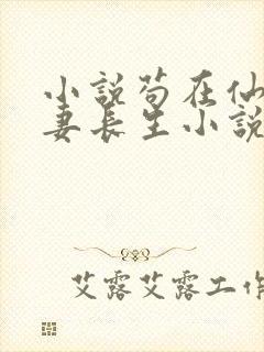 小说苟在仙武娶妻长生小说封面