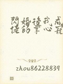 闪婚后我成了大佬的掌心宠