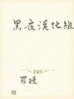 黑夜汉化组