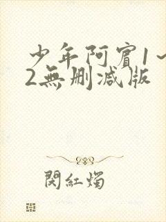 少年阿宾1～72无删减版