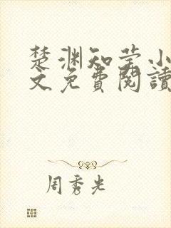 楚渊知莹小说全文免费阅读封面