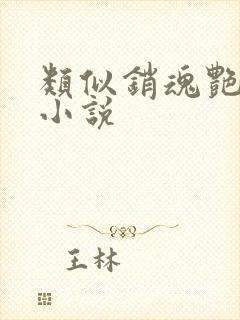 类似销魂艳婢的小说