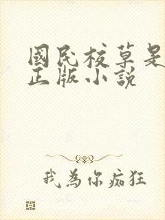 国民校草是女生正版小说