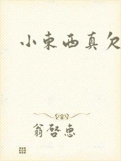 小东西真欠弄