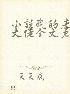 小说我的老公是大佬全文免费阅读
